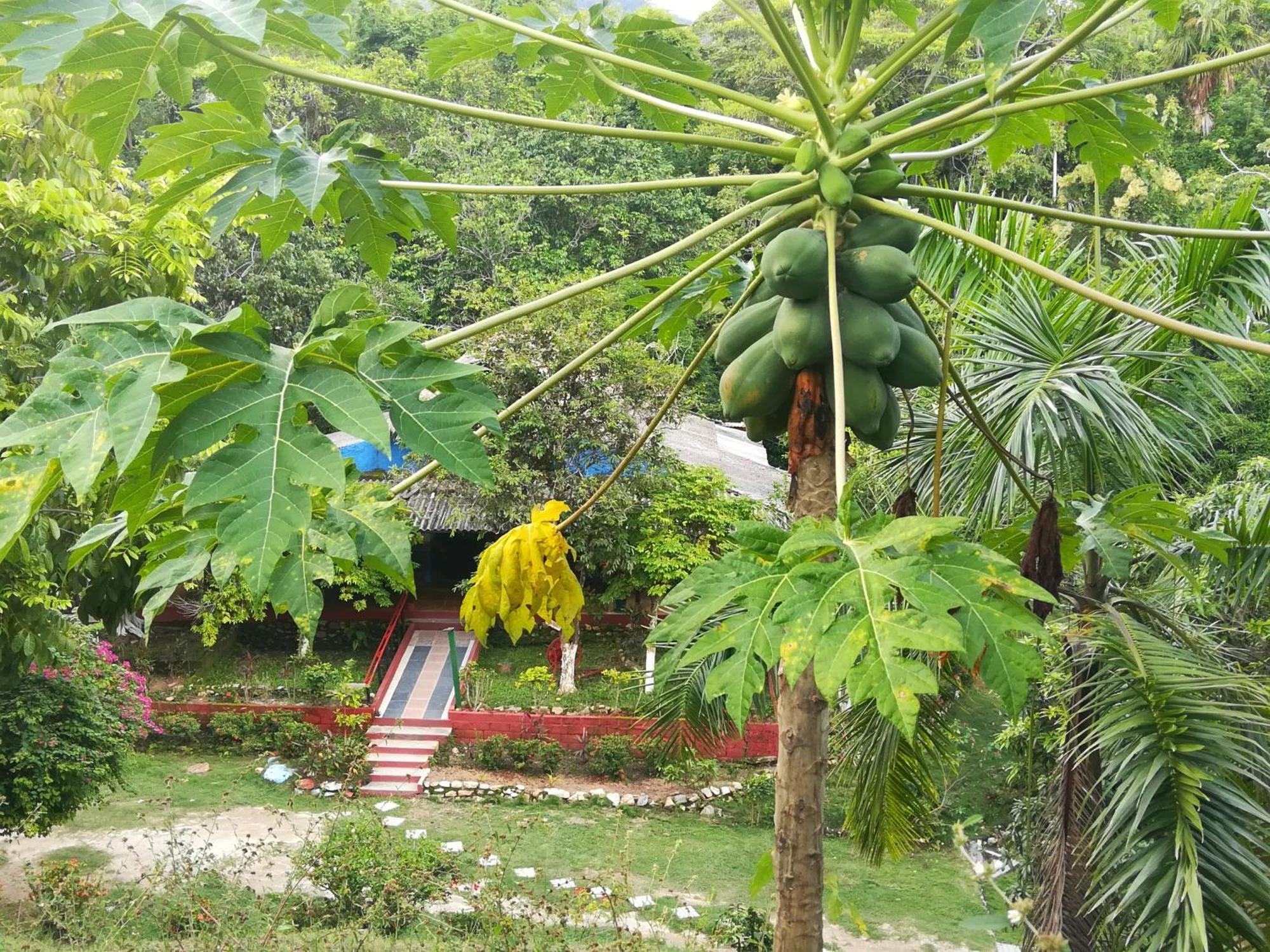Entre Bosques Tayrona Villa Los Naranjos Cameră foto